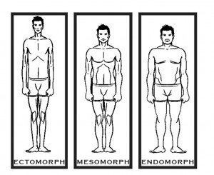 Tipos de corpos ectomórficos endomórficos mesomórficos são encontrados
